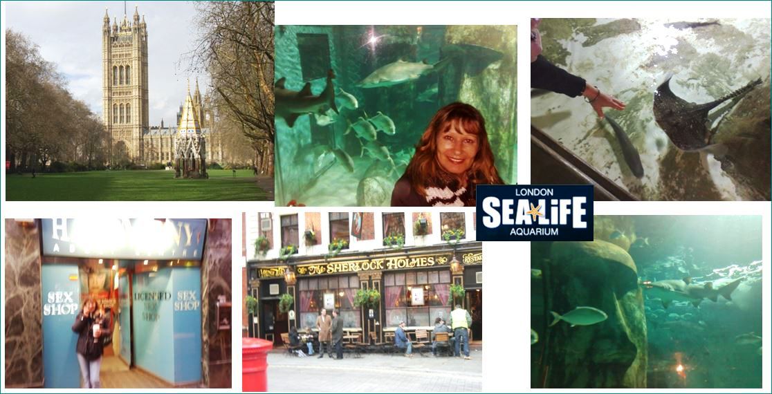 ragg 2008-03-28 - 1130AA - London - Tate-Parliament-Sea Tag 03 - S05 B03