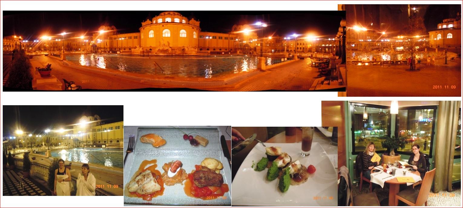 ragg 2011-11-09 - 1230AAweb - Budapest und Wien - Schöne Künste Szechenyi Bad Tag 05 - S07 B03