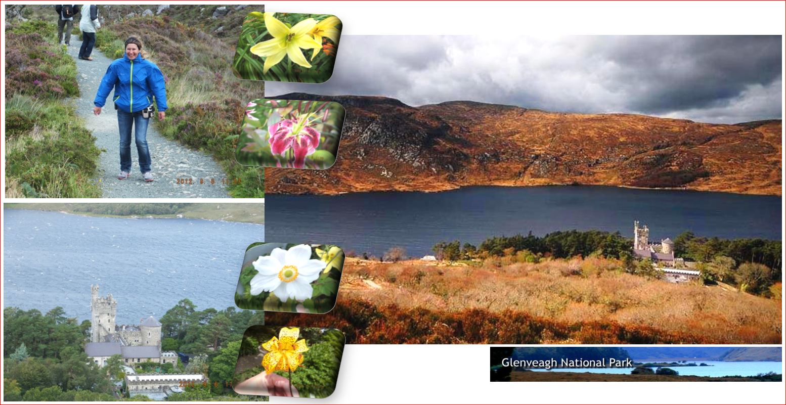 ragg 2012-09-06 - 1120Aweb - Irland - Letterkenny nach Sligo - Tag 05 - S07 B02